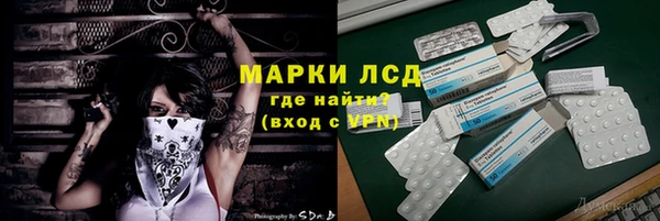 PSILOCYBIN Новодвинск