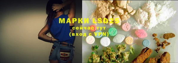 ECSTASY Новозыбков