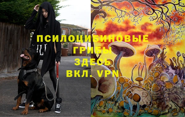 прущая мука Армянск