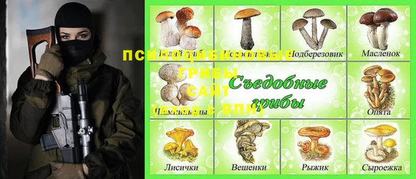 Альфа ПВП Новокубанск