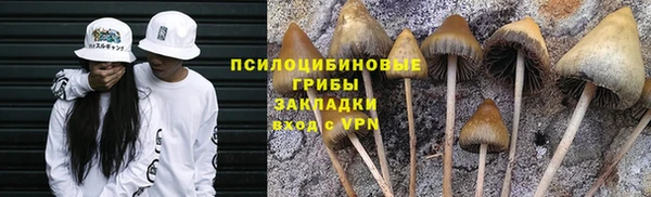PSILOCYBIN Новодвинск